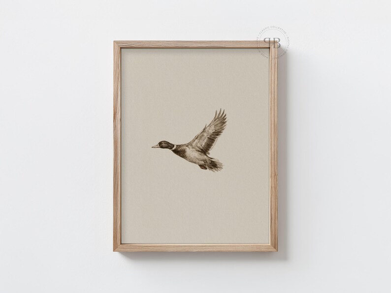 Watercolor flying duck wall art in vintage wildlife style with neutral tones, farmhouse nursery printable bird digital download.