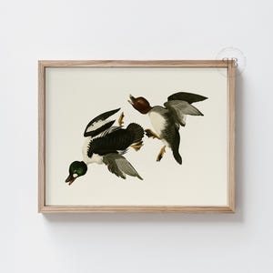 Flying Ducks Bird Print, Hunting Wildlife Wall Art, Neutral Duck Illustration Digital Download, Rustic Decor, Vintage Style, No.833
