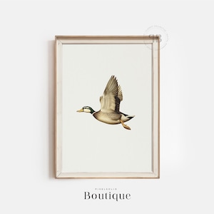 Flying Mallard Duck Print, Minimalist Bird Illustration for Farmhouse Hunting Decor, Neutral Wall Art, Vintage-Style Bird Drawing, No.553