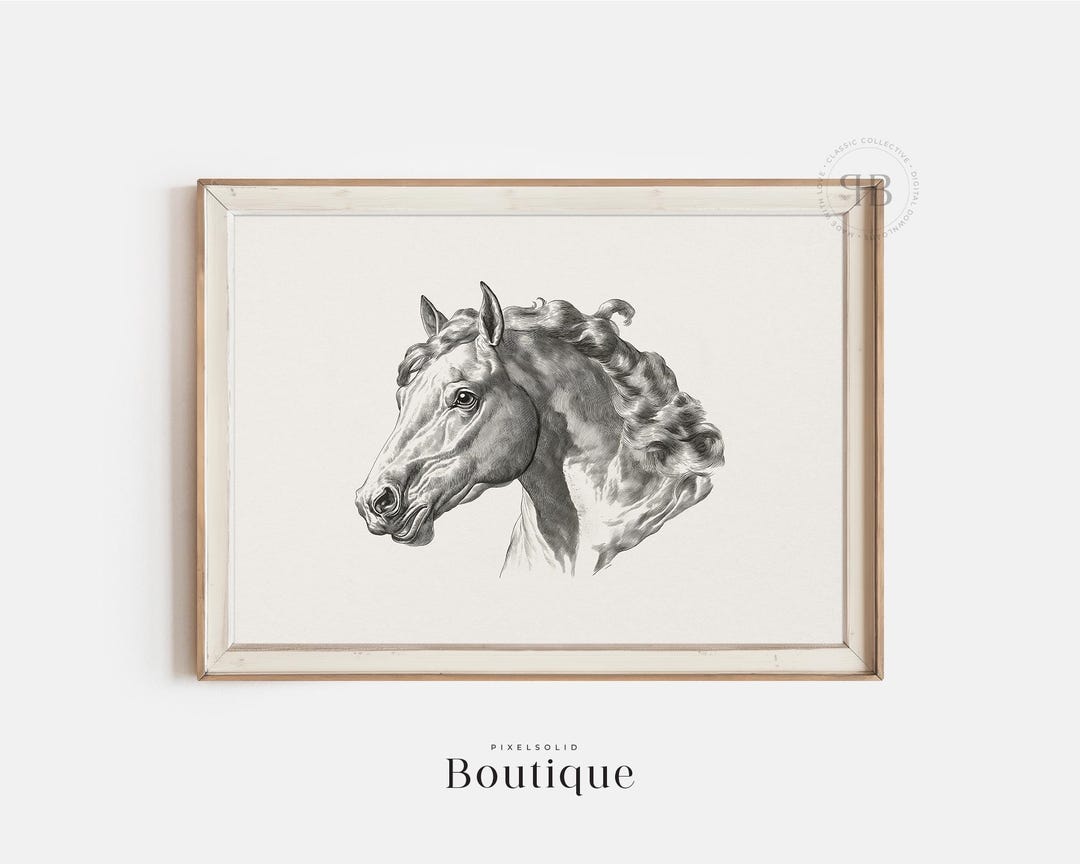 Digital Horse Head Print, Vintage Style Equine Illustration, Black and ...