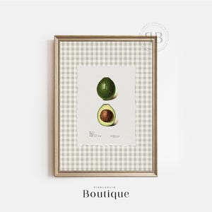 Avocado Botanical Fruit Print, Antique Kitchen Wall Art Digital Download, Green Farmhouse Decor Printable, Heirloom Vintage Style, No792