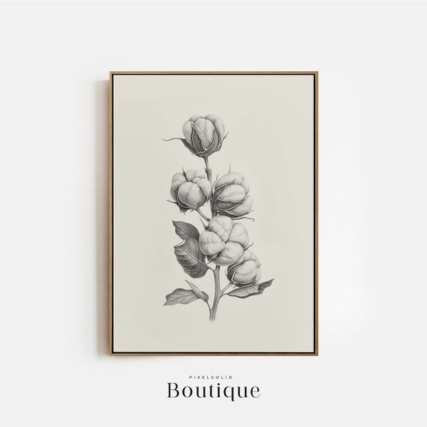 Cotton Branch Sketch, Neutral Cotton Illustration Print, Rustic Farmhouse Wall Decor, Cotton Drawing, Minimalist Cotton Print, No.397