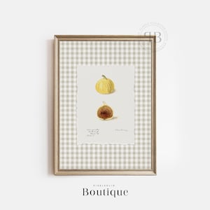 Fig Botanical Fruit Print, Antique Calimyrna Illustration Digital Download, Rustic Farmhouse Kitchen Wall Art Printable, Vintage Style No794