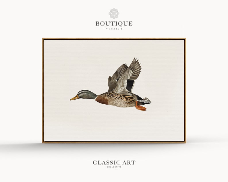 Mallard Duck
Flying Bird Illustration
Farmhouse Wall Decor
Bird Drawing
Minimalist Art
Hunting Decor
Wildlife Print