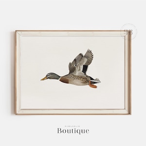 Mallard Duck Painting, Flying Neutral Bird Illustration Print, Farmhouse Hunting Wall Decor, Bird Drawing, Minimalist Bird Print,  No.310