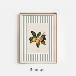 French Citrus Lemon Wall Art Printable, Botanical Fruit Illustration Digital Download, Kitchen Decor Artwork, Vintage Style No.573