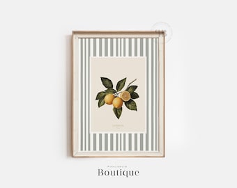 French Citrus Lemon Wall Art Printable, Botanical Fruit Illustration Digital Download, Kitchen Decor Artwork, Vintage Style No.573