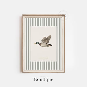 Mallard Duck Vintage Style Illustration, Antique Bird Print, Naturalist Wildlife Wall Art, Rustic Country Decor Digital Download, No.693