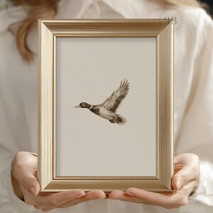Watercolor flying duck wall art in vintage wildlife style with neutral tones, farmhouse nursery printable bird digital download.