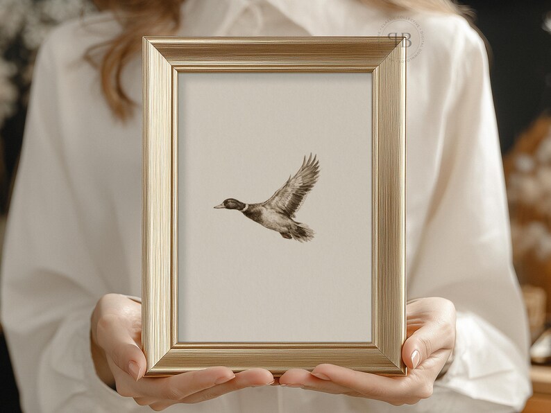 Watercolor flying duck wall art in vintage wildlife style with neutral tones, farmhouse nursery printable bird digital download.