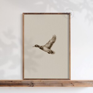 Watercolor flying duck wall art in vintage wildlife style with neutral tones, farmhouse nursery printable bird digital download.