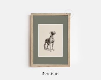 Weimaraner Hund Kunstdruck (Digitaler Download)