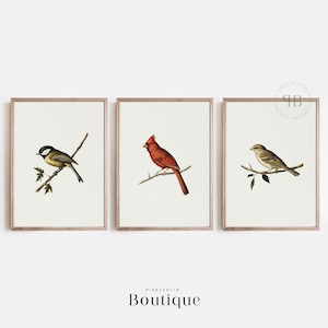 Bird Prints Set of Three - Cardinal Chickadee Sparrow Wall Art, Rustic Farmhouse Decor, Vintage-Style Nature-Inspired Illustrations, No.565