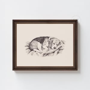 May include: A framed charcoal-style drawing of a beagle dog curled up and sleeping on a textured blanket. The artwork features a cream-coloured background and is enclosed in a dark brown wooden frame with a simple, clean border design.