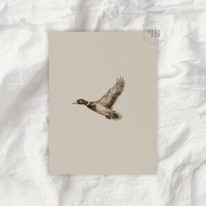 Watercolor flying duck wall art in vintage wildlife style with neutral tones, farmhouse nursery printable bird digital download.