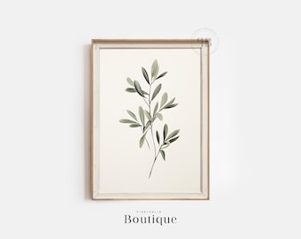 Classic Still Life Oil Painting of Olive Branch, Soft Decor For Rustic Farmhouse, Minimalist Fine Art for kitchen, No.154