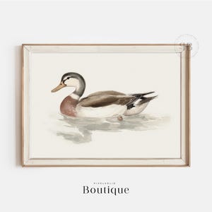 Mallard Duck Watercolor Print, Wildlife Bird Wall Art Digital Download, Farmhouse Kitchen Decor, Animal Illustration, Vintage Style, No.682