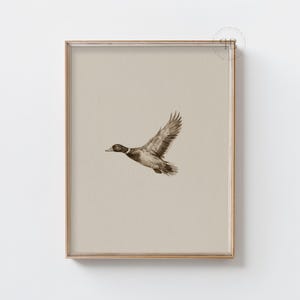 Watercolor flying duck wall art in vintage wildlife style with neutral tones, farmhouse nursery printable bird digital download.