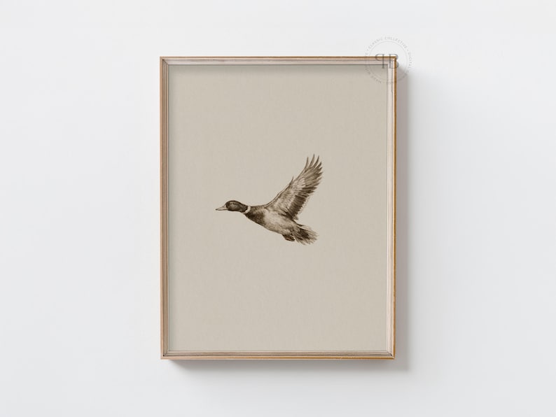 Watercolor flying duck wall art in vintage wildlife style with neutral tones, farmhouse nursery printable bird digital download.