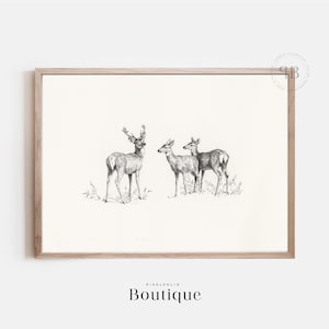 Minimalistisk skiss av vitstjärtad hjort | Naturkonsttryck för väggdekor i bondgård och stuga, skogsillustration, nr 549