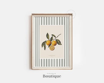 Botanical Orange Wall Art Printable, French Citrus Fruit Illustration Digital Download, Kitchen Decor Artwork, Vintage Style No.575