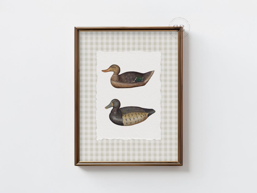 デコイに止まるマガモ