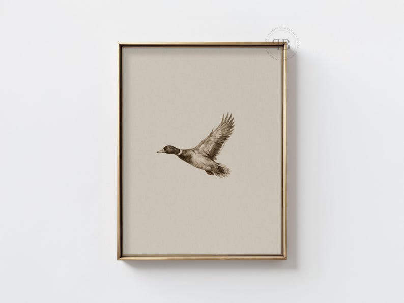 Watercolor flying duck wall art in vintage wildlife style with neutral tones, farmhouse nursery printable bird digital download.
