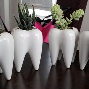 Tooth Planter, Ceramic Teeth Pot, Pen Brush Holder, White Succulent Cactus Bonsai Planter, Ceramic Flower Pot, Decorative Vase, Ornament