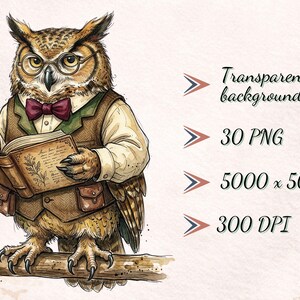 May include: A brown owl wearing round glasses, a cream shirt, a green vest, and a maroon bow tie, holding an open book while perched on a branch. Text reads: Transparent background, 30 PNG, 5000 x 5000 px, 300 DPI.