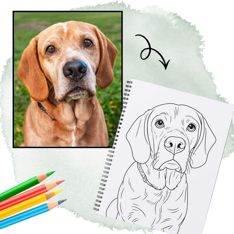 May include: A framed color photograph of a brown and white dog next to a black and white line drawing of the same dog in a spiral-bound notebook. Colored pencils in green, red, yellow, and blue are in the lower left corner. The dog has floppy ears.