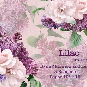 Lila y rosas Clipart / Ramos de flores Clip Art / Arreglos florales PNG