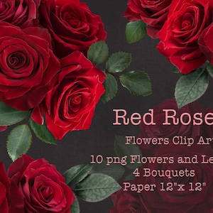 Clipart de roses rouges | Bouquets de fleurs rouges des cliparts | Compositions florales PNG | Téléchargement numérique