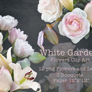 Clipart de flores blancas / Ramos de rosas, lirios y tulipanes Clip Art / Arreglos florales PNG