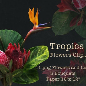 Tropical Flowers and Leaves Clipart / Moody Flowers Clip Art / Arreglos florales PNG / Descarga digital
