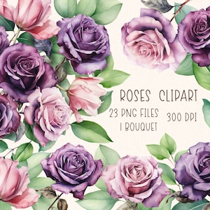 Lila Rosen Clipart | Aquarell Rosen Blumenstrauß Illustrationen Clip Art PNG