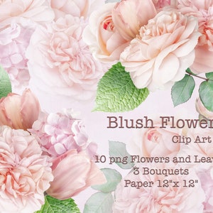 Blush Flowers Clipart / Ramos de rosas Tulipanes Hydrangea Clip Art / Arreglos florales PNG