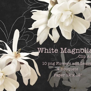 White Magnolia Clipart / Ramos de flores Clip Art / Arreglos florales PNG