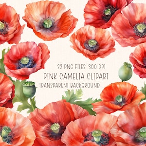 Poppy Clipart | Watercolor Red Flowers Illustrations Sublimation Set PNG