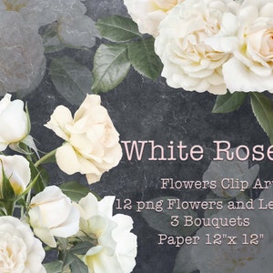 Weiße Rosen Clipart | Rosensträuße Clip Art | Blumenarrangements PNG