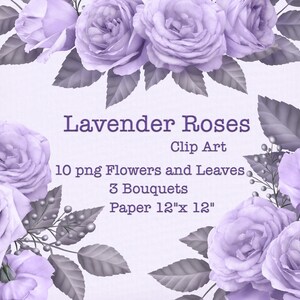 Lavendel Rosen Clipart | Blumenstrauße Clip Art | Blumenarrangements PNG