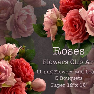 Pink Roses Clipart / Mazzi di rose PNG / Real Flowers Clip Art / Composizioni floreali digitali