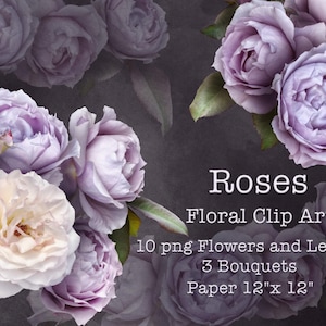 Purple Roses Clipart / Ramos de Lila y Rosas Blancas / Real Flowers Clip Art / Digital Floral Arrangements PNG Описание
