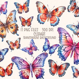 Butterfly Clipart | Watercolor Butterflies Illustrations Clip Art Set PNG