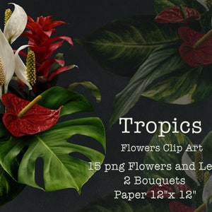Tropical Flowers and Leaves Clipart / Moody Flowers Clip Art / Arreglos florales PNG / Descarga digital