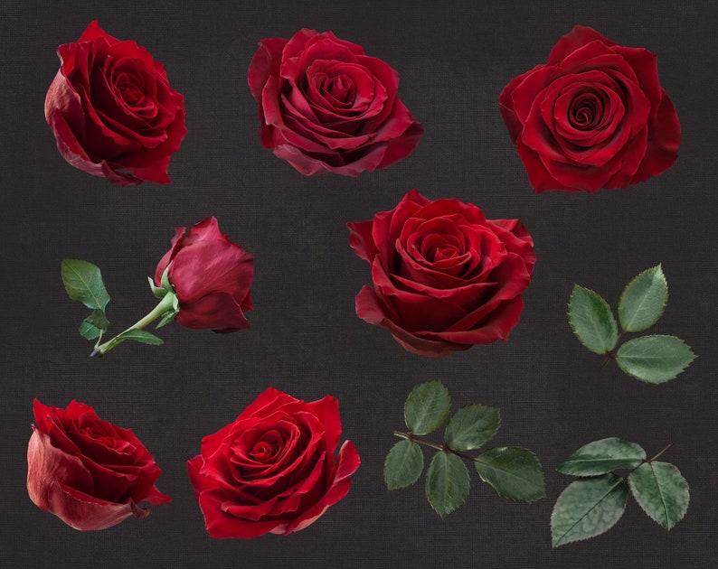 Red Roses Clip Art Red Flowers Bouquets Clipart Floral Arrangements PNG