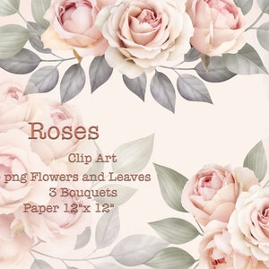 Imágenes prediseñadas de rosas rosas / ramos de flores imágenes prediseñadas / arreglos florales PNG