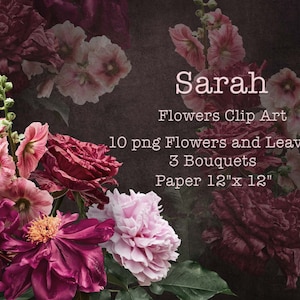 Moody Flowers Clipart / Rosas de Borgoña y Peonía Arreglos Florales Clip Art PNG / Descarga Digital