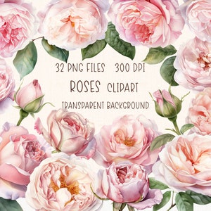 Pink Roses Clipart | Watercolor Illustration PNG
