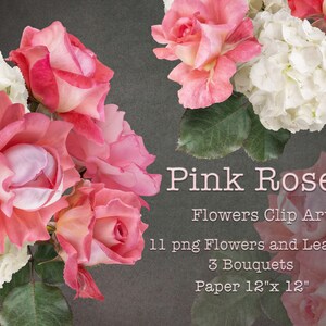 Imágenes prediseñadas de rosas rosas / Ramos de rosas y hortensias / Imágenes prediseñadas de flores reales / Arreglos florales PNG