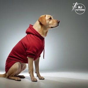 Pu&ograve; includere: Un cane Labrador Retriever giallo che indossa una felpa con cappuccio rossa. Il cane &egrave; seduto su uno sfondo grigio.